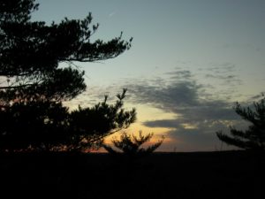 Middlesex Fells Reservation, MA | Photography by Jenny S.W. Lee