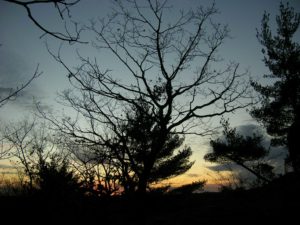 Middlesex Fells Reservation, MA | Photography by Jenny S.W. Lee