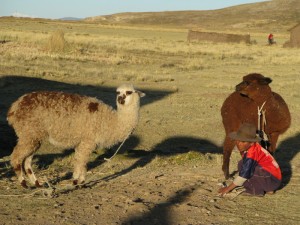 Puno, Peru - photography by Jenny SW Lee