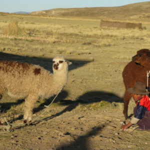 Puno, Peru