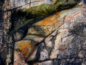 Middlesex Fells Reservation, MA | Photography by Jenny S.W. Lee