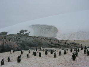 Petermann Island Antarctica - photography by Jenny SW Lee