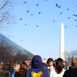 Vietnam Veterans Memorial in Washington DC - photography by Jenny SW Lee