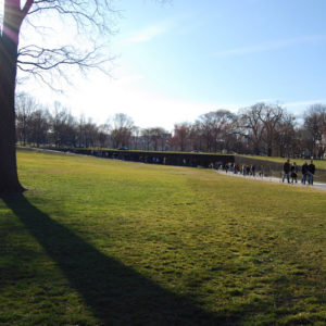 Vietnam Veterans Memorial in Washington DC - photography by Jenny SW Lee