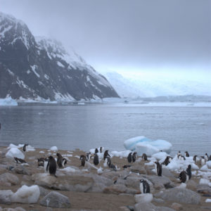 Neko Harbor Antarctica - photography by Jenny SW Lee
