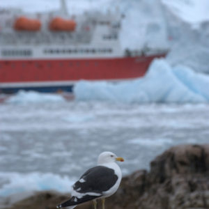 Neko Harbor Antarctica - photography by Jenny SW Lee