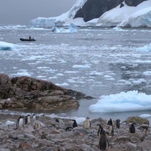 Neko Harbor Antarctica - photography by Jenny SW Lee