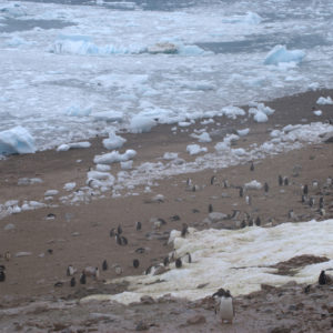 Neko Harbor Antarctica - photography by Jenny SW Lee