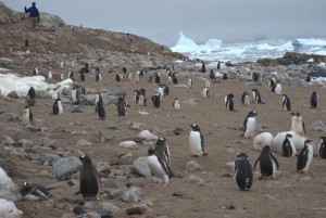 Neko Harbor Antarctica - photography by Jenny SW Lee