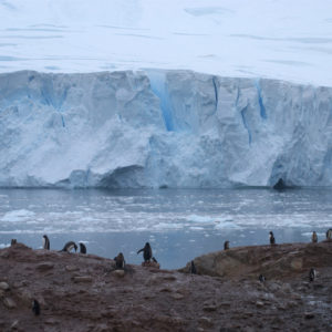 Neko Harbor Antarctica - photography by Jenny SW Lee