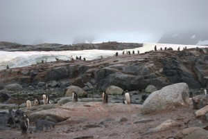 Petermann Island Antarctica - photography by Jenny SW Lee