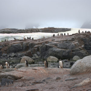 Petermann Island Antarctica - photography by Jenny SW Lee