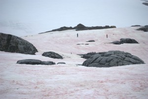 Petermann Island Antarctica - photography by Jenny SW Lee