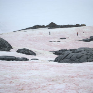 Petermann Island Antarctica - photography by Jenny SW Lee