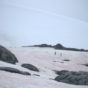 Petermann Island Antarctica - photography by Jenny SW Lee