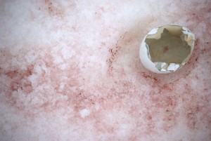 Petermann Island Antarctica - photography by Jenny SW Lee