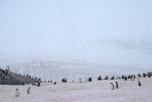 Petermann Island Antarctica - photography by Jenny SW Lee