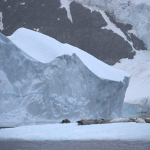 Pleneau Bay Antarctica - photography by Jenny SW Lee