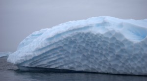 Pleneau Bay Antarctica - photography by Jenny SW Lee