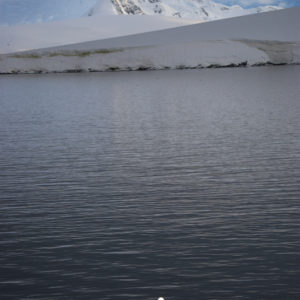 Gouldier Island Antarctica - photography by Jenny SW Lee