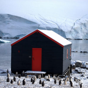 Gouldier Island Antarctica - photography by Jenny SW Lee