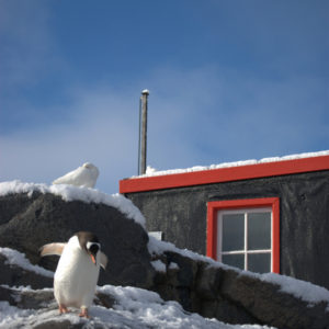 Gouldier Island Antarctica - photography by Jenny SW Lee
