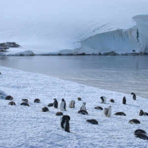 Jougla Point Antarctica - photography by Jenny SW Lee