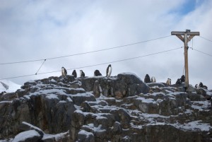 Jougla Point Antarctica - photography by Jenny SW Lee