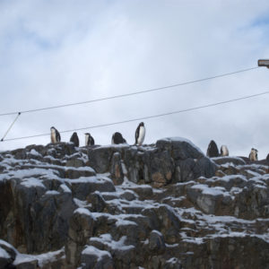 Jougla Point Antarctica - photography by Jenny SW Lee