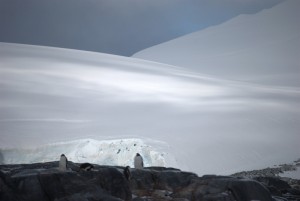 Jougla Point Antarctica - photography by Jenny SW Lee