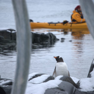 Jougla Point Antarctica - photography by Jenny SW Lee