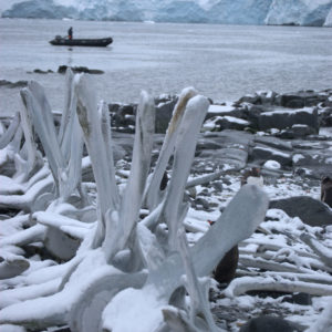 Jougla Point Antarctica - photography by Jenny SW Lee