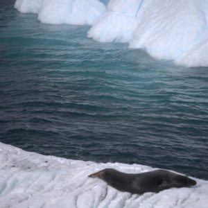 Paradise Harbor Antarctica Photography by Jenny SW Lee