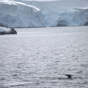 Paradise Harbor Antarctica Photography by Jenny SW Lee