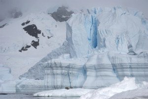 Paradise Harbor Antarctica Photography by Jenny SW Lee