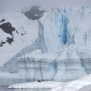 Paradise Harbor Antarctica Photography by Jenny SW Lee