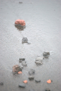 Whalers Bay, Deception Island Antarctica - photography by Jenny SW Lee
