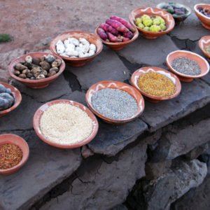 herbs, spices, vegetables from an Andean farm. There were no hospitals nearby, so medicinal plants were gathered. Puno, Peru
