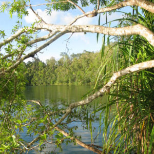 Atherton Tablelands Australia - photography by Jenny SW Lee