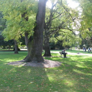 Christchurch Botanic Gardens