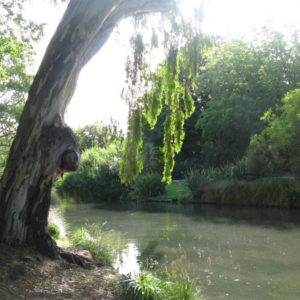 Christchurch Botanic Gardens