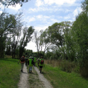 Conservation Volunteering at Willowbank New Zealand - photography by Jenny SW Lee