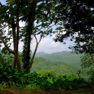 El Yunque National Forest