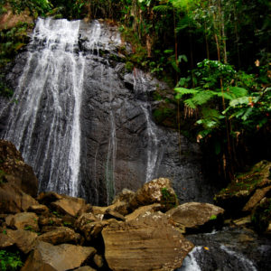 El Yunque National Forest