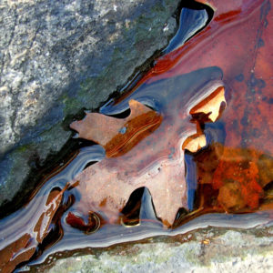 Autumn leaves lay in a rock crevice.