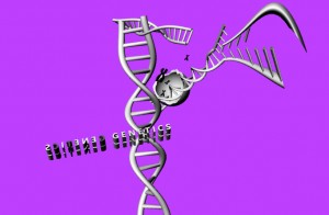 chromosomes and DNA replication. Design model created by Jenny S.W. Lee