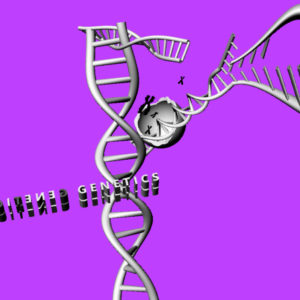 Some of the characteristics of DNA molecules. Genetics.