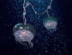 Jellyfish light fixture under water designed by Jenny S.W. Lee