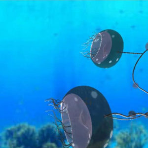 Jellyfish light fixture under water