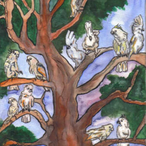 Illustrations, Paintings